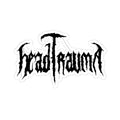 Head Trauma - 6in Spiderweb Sticker
